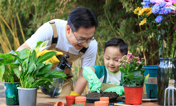 Father and son are trimming flowers and plants in the yard