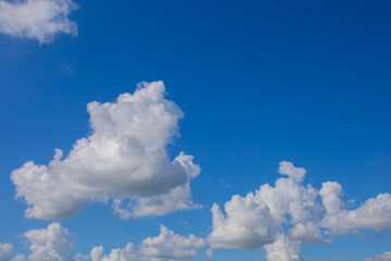 Naklejka na ściany i meble white clouds in the sky