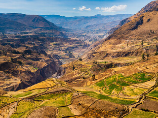 Panoramic view of Colca Canyon and its stepped terraced fields, Peru