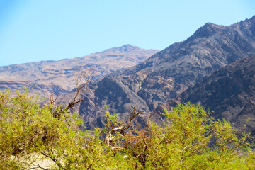 Picturesque nature background. Mountain slopes in the park.