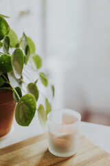 candle with a plant on the background