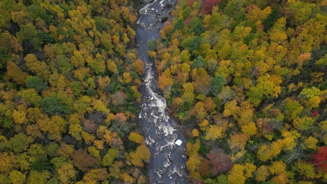 autumn in the mountains at the Lindy Point, West virginia