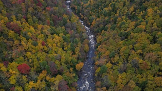 autumn in the mountains at the Lindy Point, West virginia
