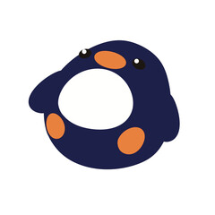 baby penguin