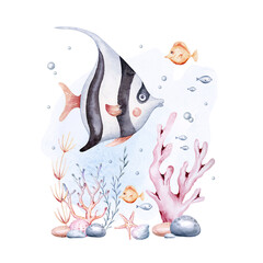 Fototapeta premium sea animals composition. Blue watercolor ocean fish, turtle, whale and coral. Shell aquarium mermaid submarine. Nautical dolphin marine illustration, jellyfish, starfish