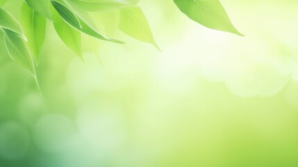 Fototapeta na wymiar Background of green nature leaf in garden at spring summer seasons. Generative AI