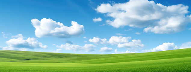 Obraz premium Green grass field agains the blue cloud sky, Generative AI