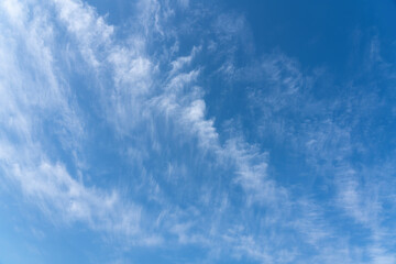 Blue sky and beautiful cloud with meadow tree. Plain landscape background for summer poster. The best view for holiday.