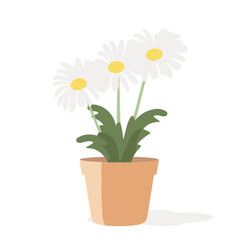 Daisy Flower in pot Illustration Vector 