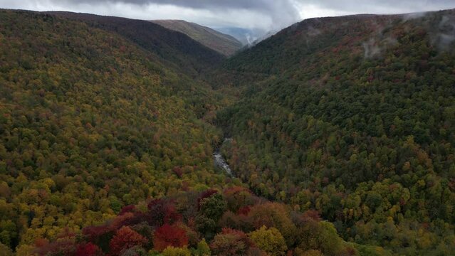 autumn in the mountains at the Lindy Point, West virginia