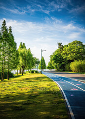 Summer Country Road With Trees Beside Concept