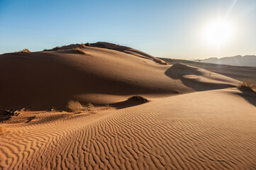 Fototapeta na wymiar A very early morning in the Namibian Desert, near Cha-re, around sunrise