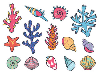 Sea shell starfish snail seashell crustacean ocean life isolated set. Vector graphic design element illustration