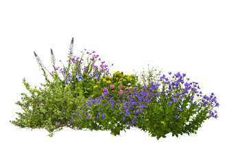 Colorful variety of flower garden on transparent background