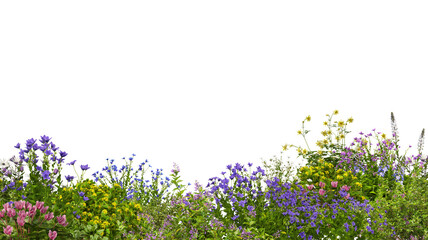 Foreground Colorful variety of flower garden on transparent background