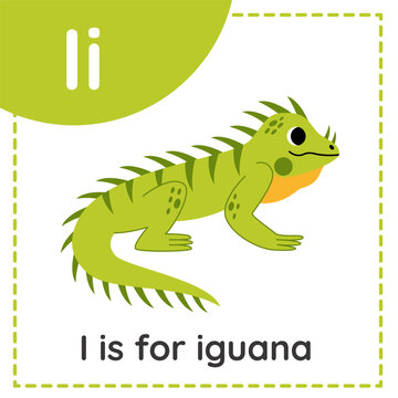 Learning English alphabet for kids. Letter I. Cute cartoon iguana.