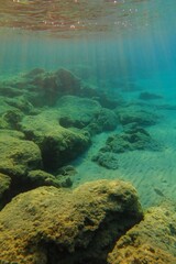 Seascape in the shallow sea, rocks with algae and sunrays from the water surface. Fish, sun and...