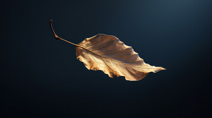 A single leaf drifts through the air, its slow descent providing a hint of tranquility