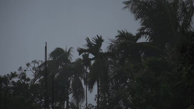 video clip of stormy monsoon season during evening time with trees in motion in India