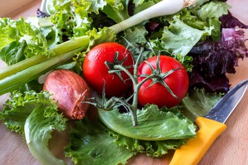 Salat Zutaten mit Lauch, Tomaten, Zwiebeln