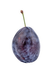 plum isolated on white or transparent background