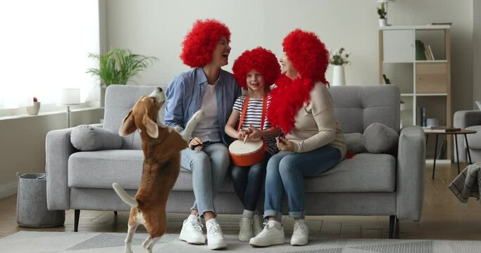 Cheerful kid, mom, grandma and beagle dog celebrating birthday. Happy girls and women in clown wigs making noise with whistles, playing toy drum, pet dancing and barking at home party