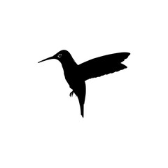 Flying Hummingbird Silhouette, can use Art Illustration, Website, Logo Gram, Pictogram or Graphic Design Element. Vector Illustration