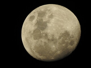 Fototapeta premium luna 2