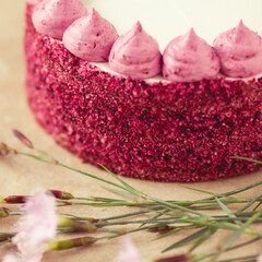 Bakery, candy shop concept. Close-up image of amazing bird cherry cake with white and pirple topping. Natural light. Indoor shot