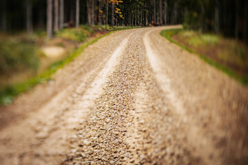 Tranquil Autumn Journey Through Woodland. Tranquil woodland path through autumn forest, journey...