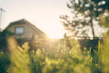 Selective focus on a cottage with a summer garden behind a fence. The house is in the rays of the setting sun. The concept of suburban life with space to copy. High quality photo