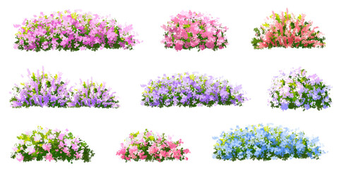 set of flowers, Vector of flower grass or blooming shrub site view isolated on white background ,watercolor tree elevation for landscape concept,environment panorama scene,eco design,meadow for spring - obrazy, fototapety, plakaty