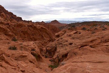 red canyon in the desert