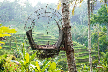 Traditional Balinese style gazebo at Tegallalang Rice Terrace in the misty morning. A tropical...