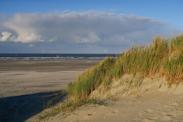 Die Sonne scheint an einem Herbsttag auf Dünen und den Strand auf der holländischen Nordseeinsel Schiermonnikoog. Auf den Dünen wächst Strandgras.
