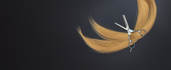 Scissors and piece of blond hair. Professional barber hair cutting shears on black background....