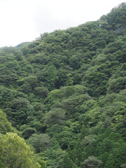 "Fujido" in Ueno Village and its surroundings