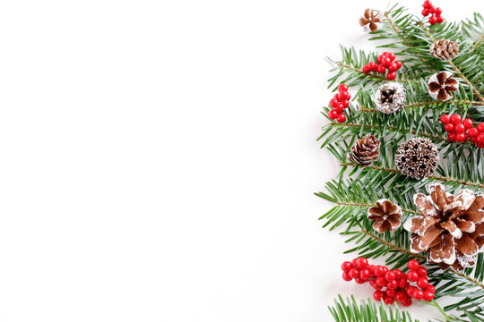 もみの木と木の実のクリスマスツリーイメージ　白背景