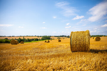 Paysage de campagne dans les champs de blé après les moissons. - 669599772