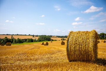 Paysage de campagne dans les champs de blé après les moissons.