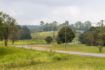 Road in the countryside with blue sky at Khao Yai National Park, Thailand.