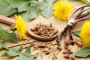 Dried dandelion root with fresh flowers and leaves on wooden table, closeup, copy space, green medicine, diet food, homeoparhy, hair and skin healthy care, detox therapy concept - obrazy, fototapety, plakaty