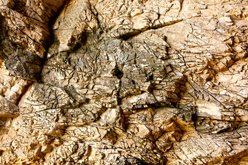Natural rock texture background. Rocky bas-relief wall.