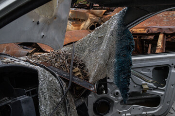 broken glass in a burned-out car