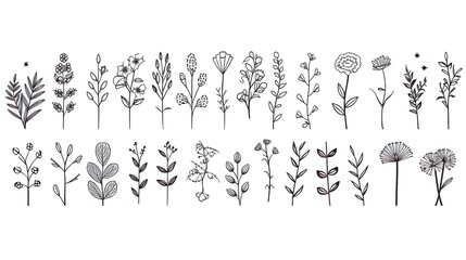 Set of tiny wild flowers and plants line art vector