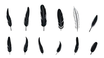 Set of black feather in a flat style Set of bird