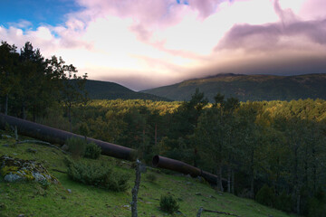 krajobraz, wzgórze, widok, scena, góra, środowisko, sceneria, natura, las, na zewnątrz,...