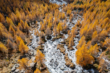 Locality Preda rossa in Val Masino, Valtellina, Italy, autumn view - 669617310