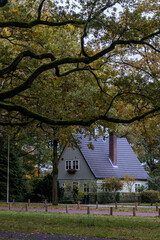 Old traditional house in autumn park with yellow leaves