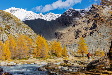 hiker in Preda Rossa area with autumn landscape in Val Masino, Italy - 669618362